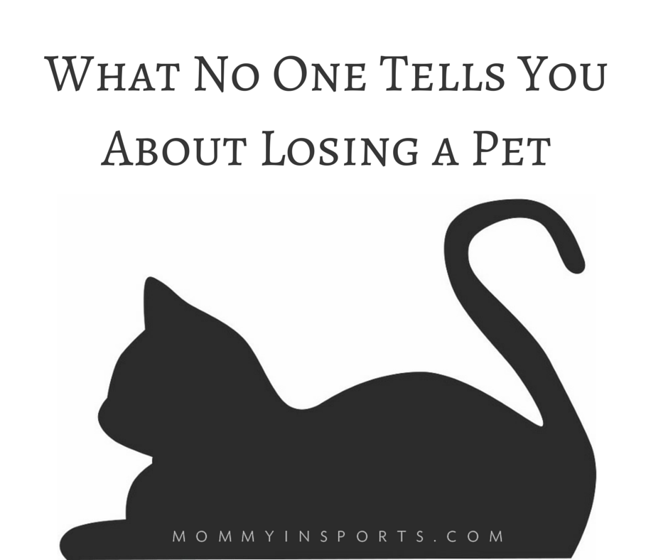 what-no-one-tells-you-about-losing-a-pet